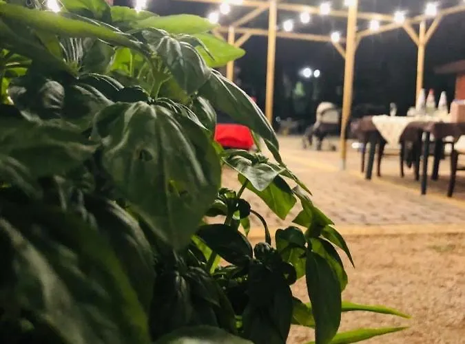 Casa Vacanze Fattoria Il Noce