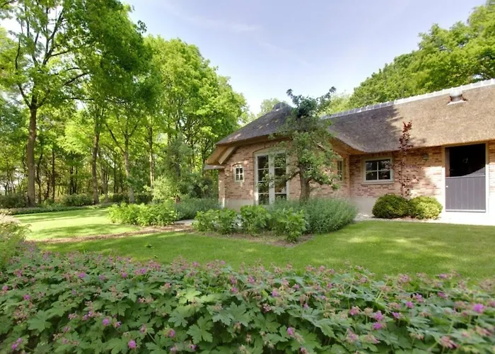 Huisdiervriendelijk hotel: Vlindervallei 8p