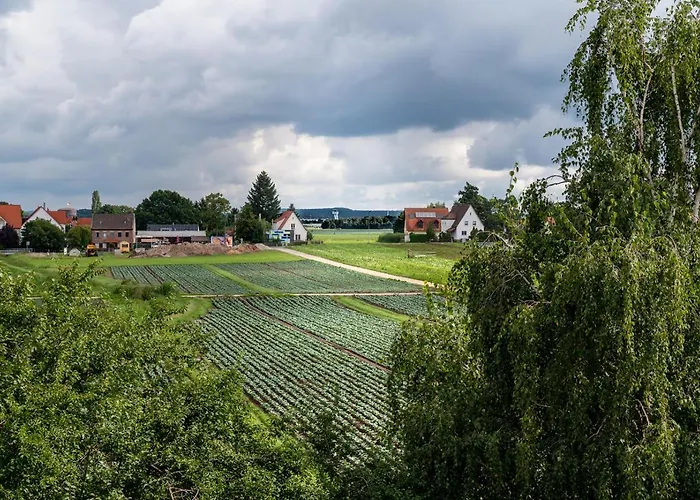 Grüne Elster