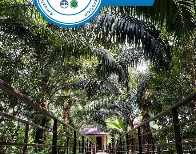 Familiehotel: Khaosok Good View Resort - Sha Plus
