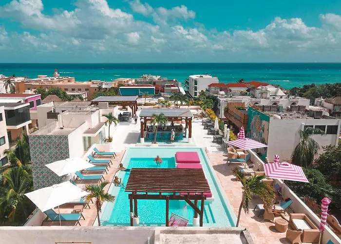 The Palm (Adults Only)