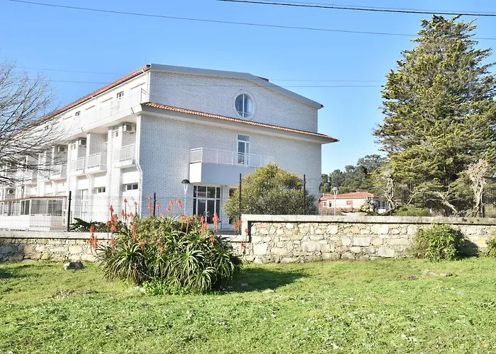 Perros hoteles Novo Muiño