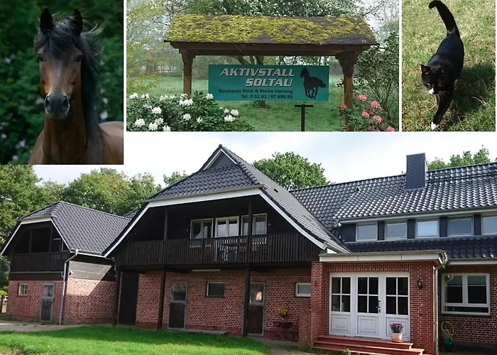 Hotel nahe College: Aktivstall Soltau