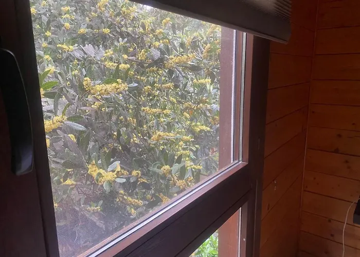 Refugio Cálido, estilo Nórdico El Bosquet