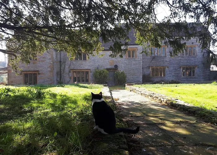 Cabin: The Manor House, Curry Mallet