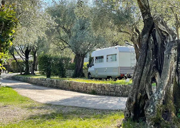 Hôtel accueillant les animaux: Camping La Paoute