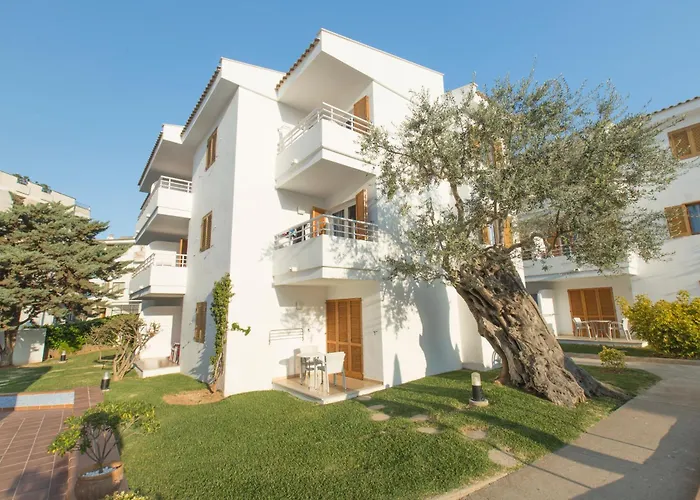 Cheap hotel: Aparthotel Flora