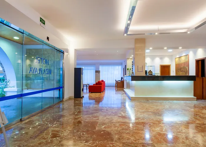 Hôtel accueillant les animaux: Hotel Ibiza Playa