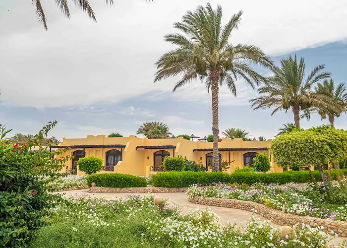 Hotel: Blend Elphistone Resort Marsa Alam
