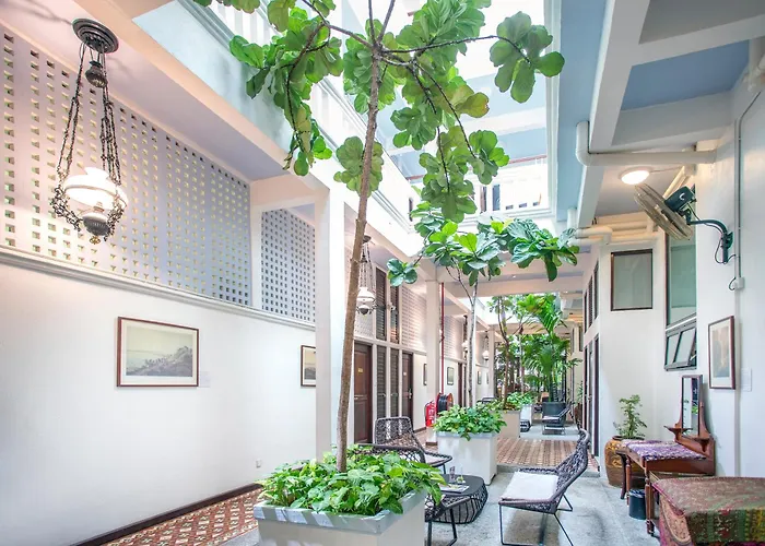 Areca Penang