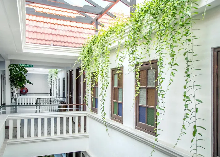 Areca Penang