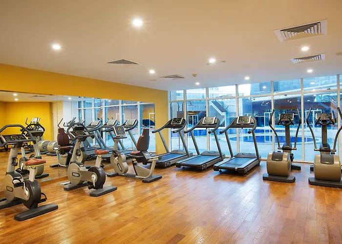 Huisdiervriendelijk hotel: Marriott Hotel Production City, Dubai