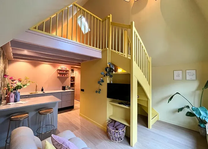 Hotel dichtbij College: Suite van Lotte