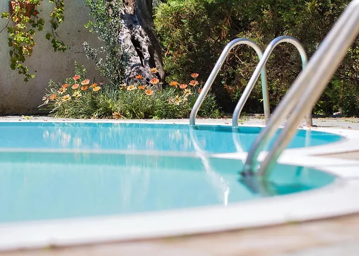 Hotel adatto agli animali: Hotel Sporting