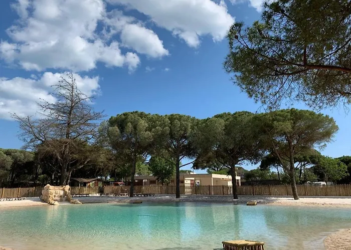 Huisdiervriendelijk hotel: Camping La Tamarissiere