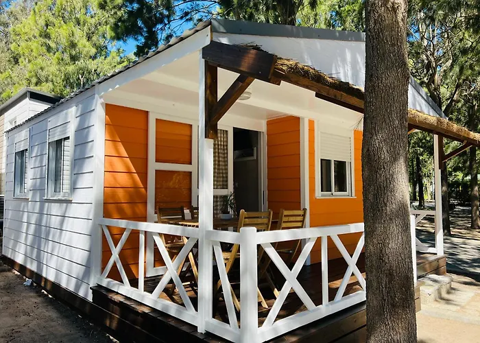 Hotel que admite mascotas: Camping Paloma