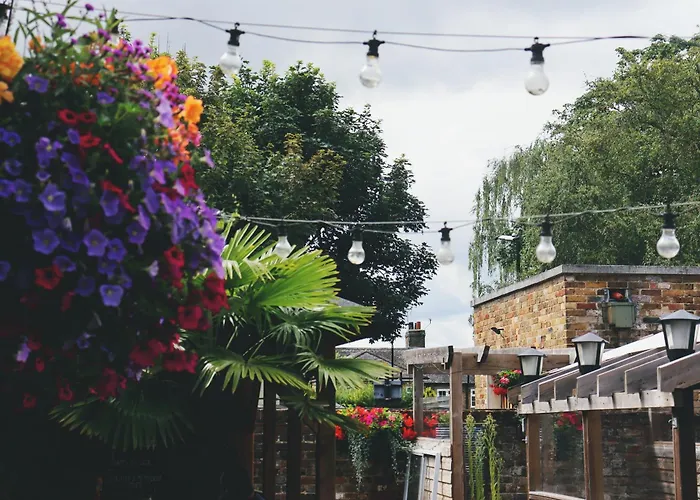 Hotel barato: The George Inn