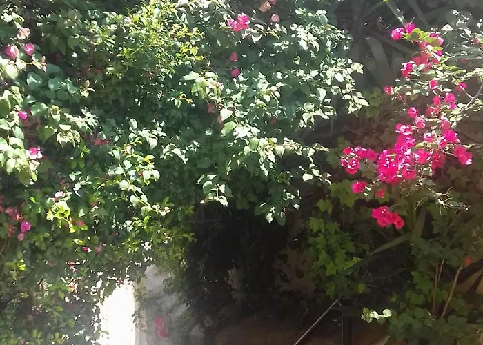 Casa vacanza: antonella home