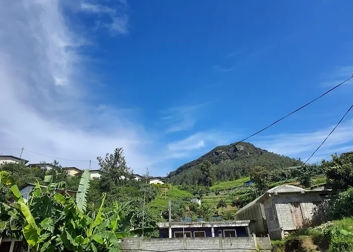 Green Villa