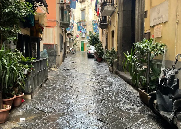 Sophia Boutique Home