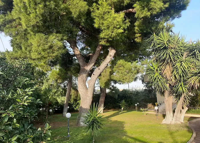 Hotel familiare: The Orange Groove