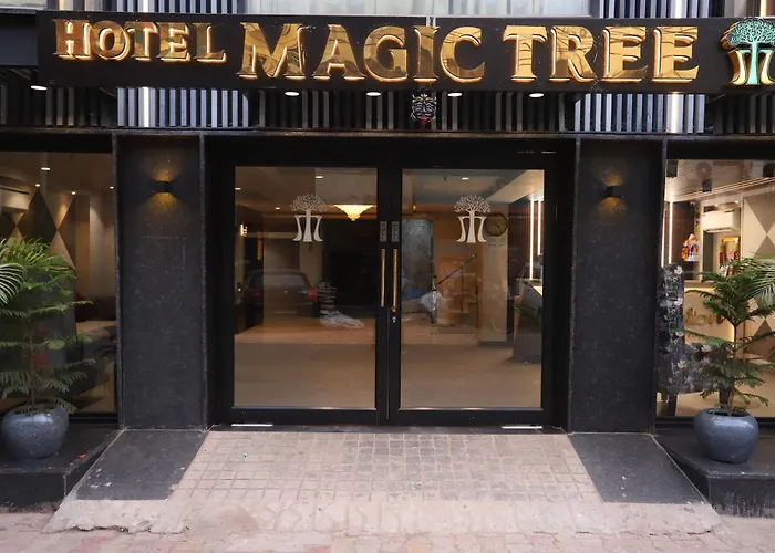 The Magic Tree - Paharganj