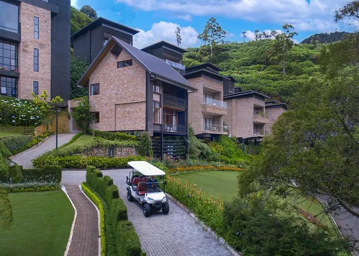 Golden Ridge