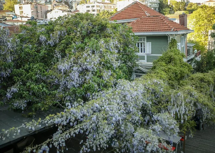 Hôtel de luxe: Loop Hotel Bosphorus Istanbul