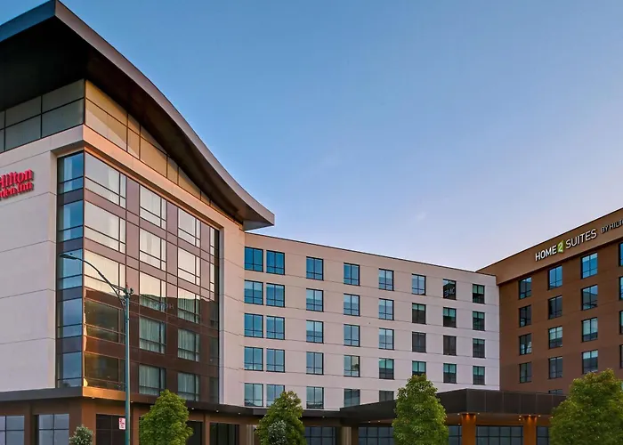 3 star hotel: Hilton Garden Inn Anaheim Resort