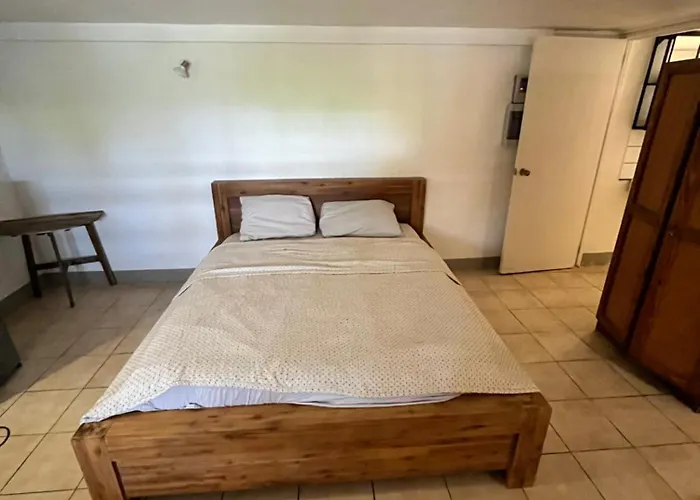 Pet Friendly hotel: Poko Poko Resort