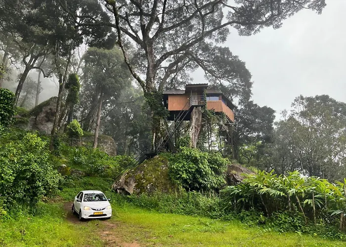 Tree House Munnar