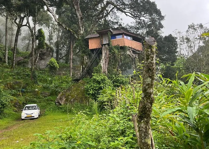 Tree House Munnar