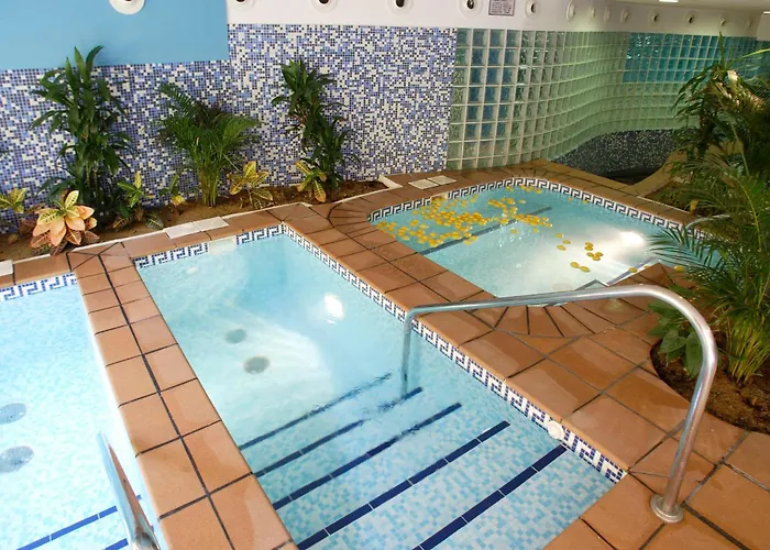 Animaux admis Ibersol Almunecar Beach & Spa