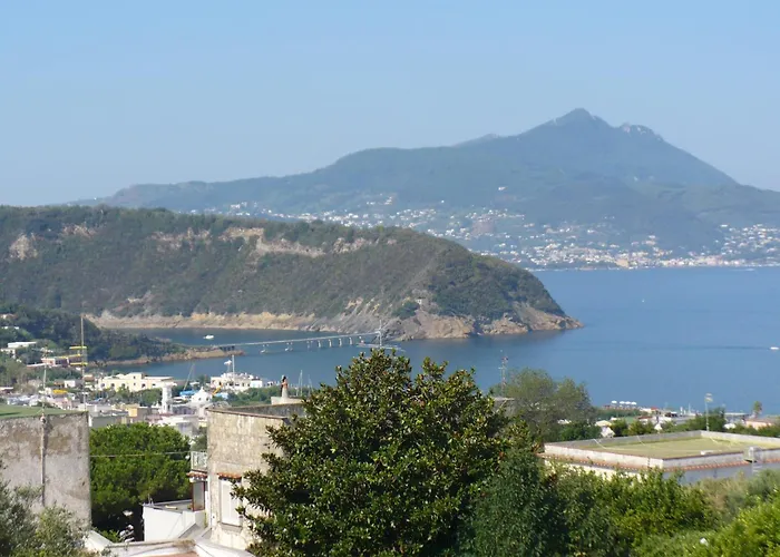  Savoia
