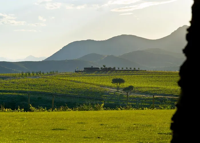 Hotel familiar: Sa Perafita - Mf