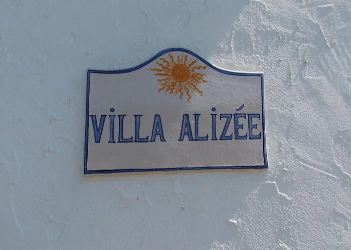  Alizée