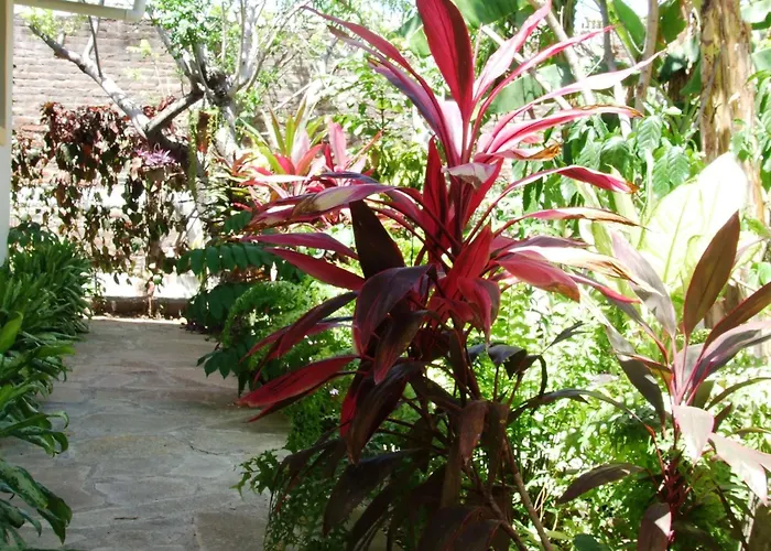 Casa Barcelona