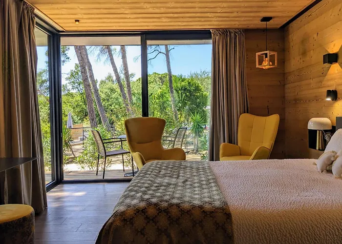 Hôtel accueillant les animaux: Le Confidentiel Hôtel