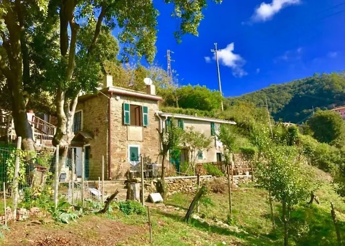 Casa degli ospiti: La quiete accesa