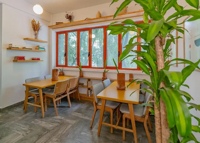 Hotel que admite mascotas: La Campechana In The Heart Of Roma And Condesa