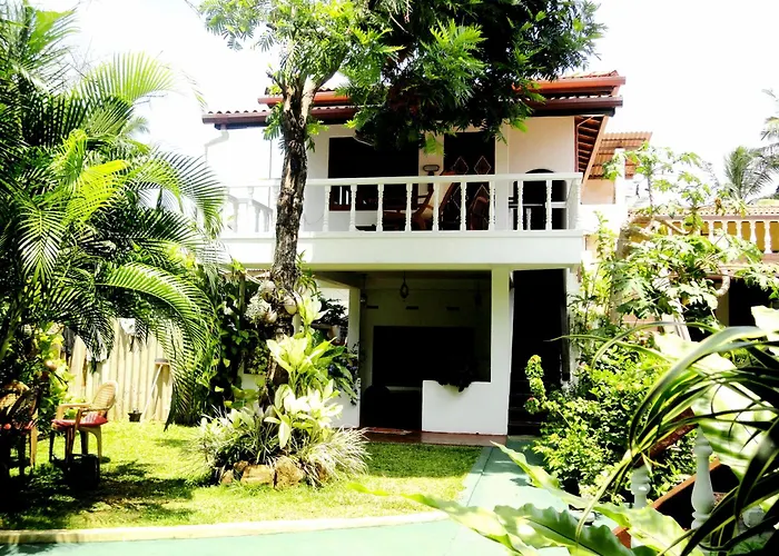 Pets Allowed Hotel Star Holiday