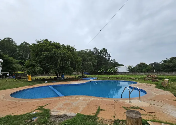 Eco Village - No Alcohol Zone