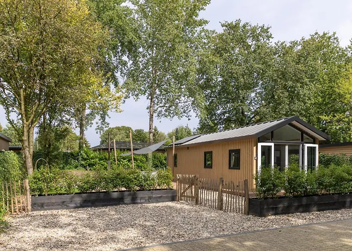  Schitterend 4 Persoons Tinyhouse Met HOTTUB Aan De Bossen In Putten 4-16