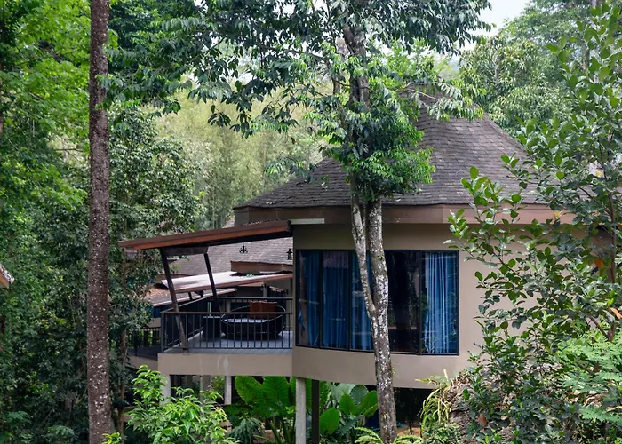 : Rock And Tree House Resort