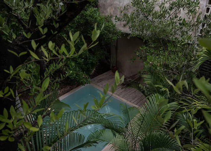  Casa Coyote Tulum