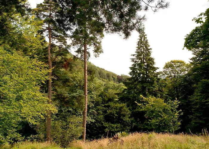 Hostel: Yha Langdale
