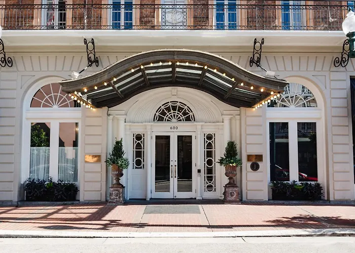 Animaux admis Lafayette New Orleans By Kasa Living