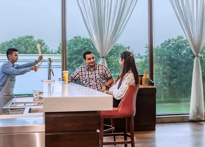  Four Points By Sheraton New Delhi, Airport Highway