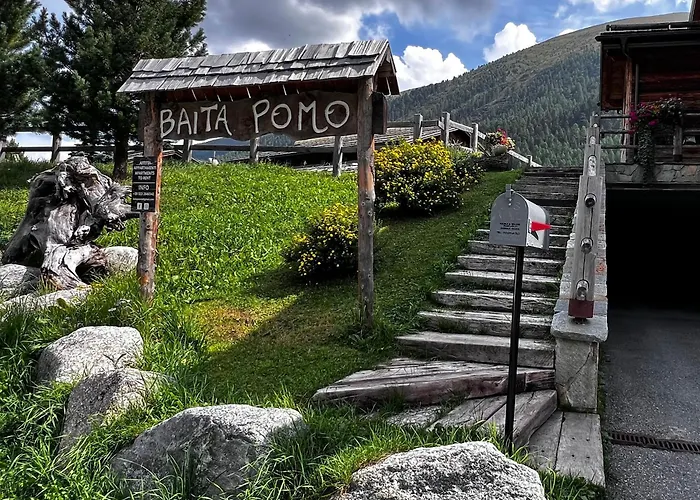 Baita Pomo
