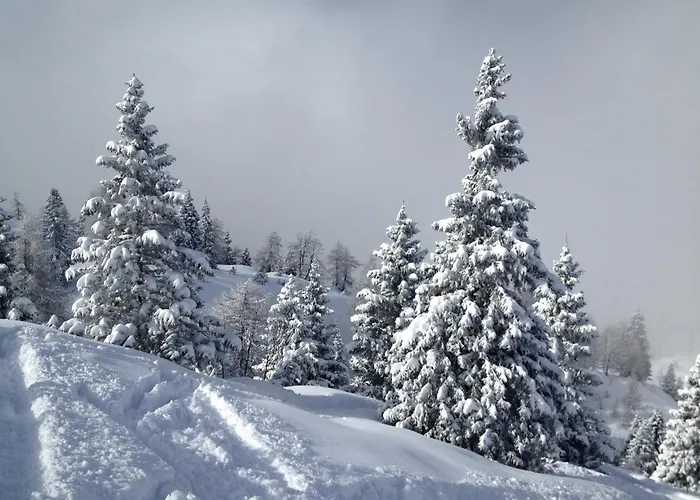 Lory - - Dolomiti